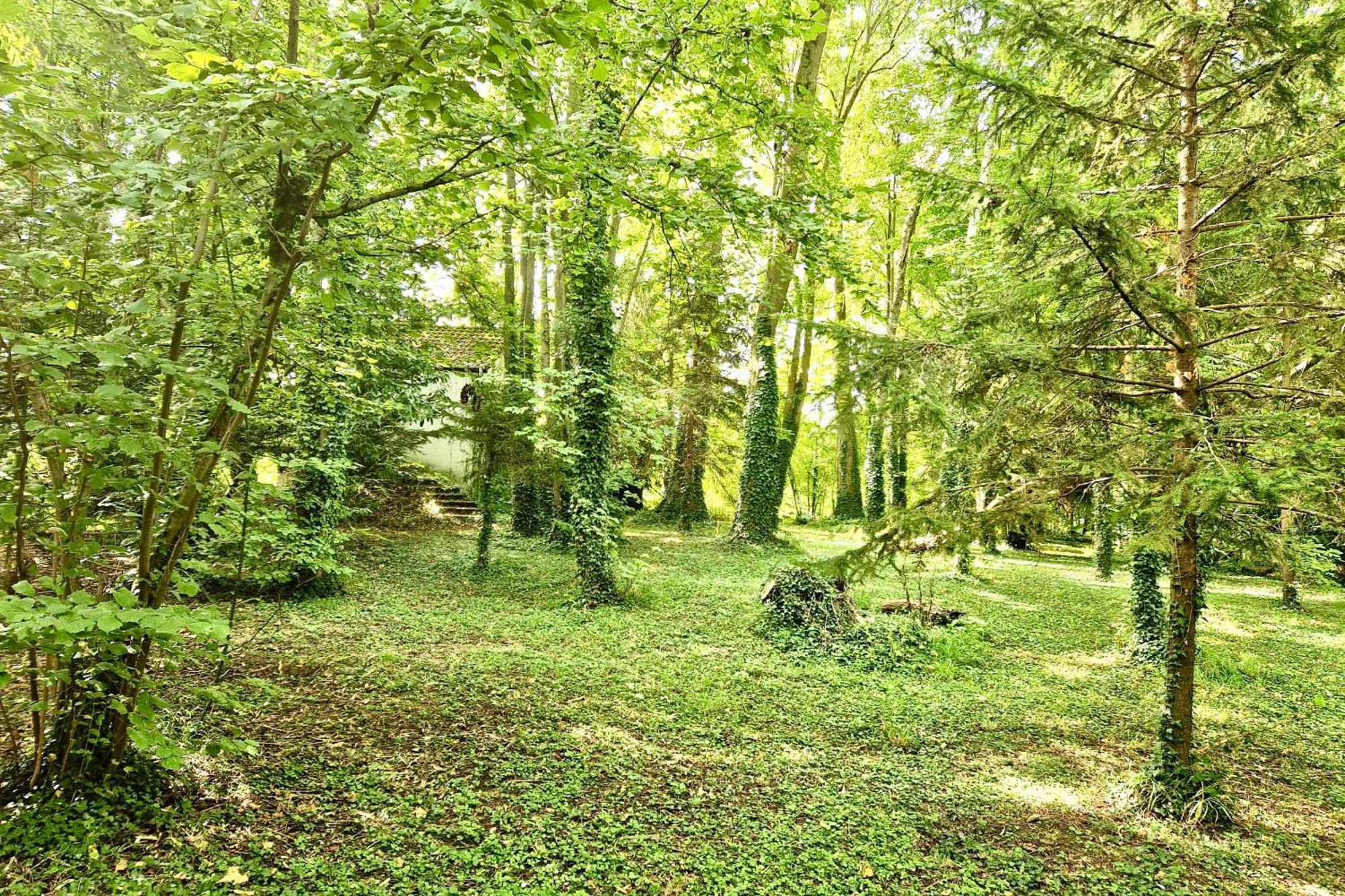 Villa Edouard - 180M2 In Nature & Forest - 20Min Disney - 7Min Airport Клеи-Суйи Экстерьер фото
